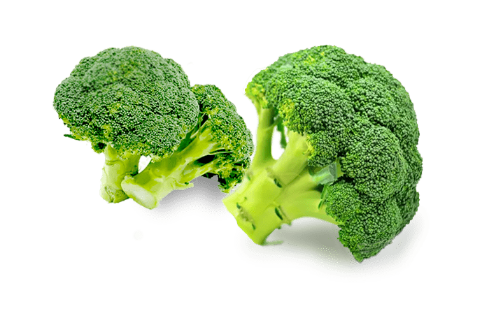 Broccoli